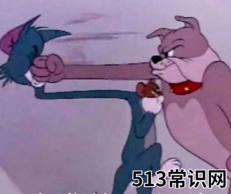 抖音笋都被你夺完了啥梗什么意思 调侃某人行为是真的很损