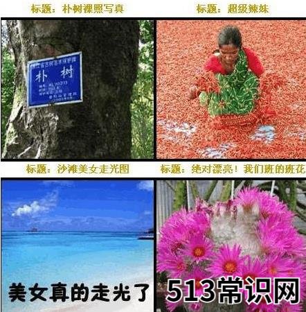 传说中的“UC震惊部”是什么意思什么梗 欢迎你明天到UC震惊部上班