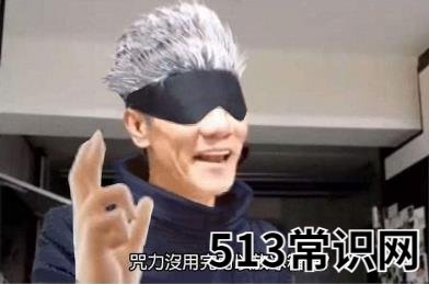 咒力没用完可以放冰箱吗是什么意思什么梗 出自《咒术回战》和王雷哥