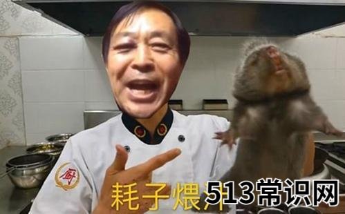马保国说年轻人不讲武德耗子喂汁/耗子尾汁是什么意思?什么梗?