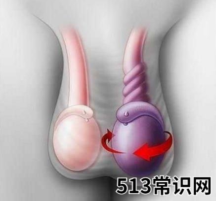 谣言 换蛋期是什么意思什么梗?男孩子换蛋蛋期是真的假的