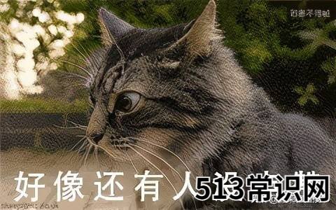 电脑无法复制粘贴怎么办的解决方法 不能复制粘贴
