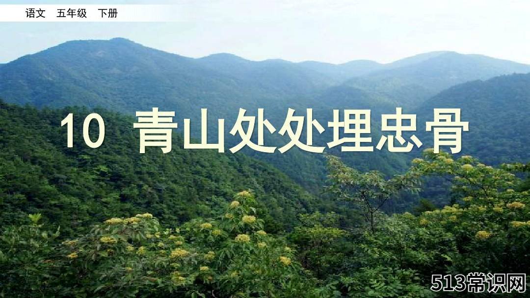 青山处处埋忠骨学习要点解析 青山处处埋忠骨 何须马革裹尸还的意思
