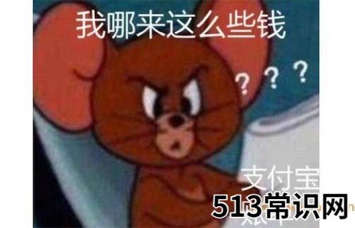 账单式小康是什么意思什么梗 账单式小康的含义及出处