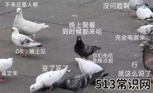 人类三大本质是什么意思什么梗 人类三大本质的含义及出处