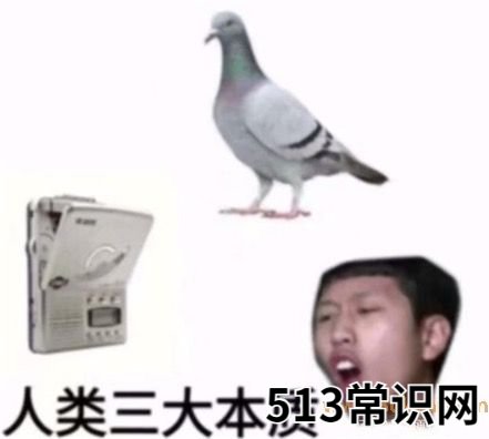 人类三大本质是什么意思什么梗 人类三大本质的含义及出处