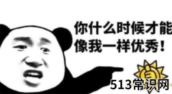 我什么时候才能像你一样优秀是什么意思什么梗