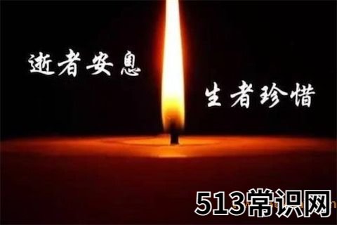R.I.P是什么意思什么梗 R.I.P的含义及出处