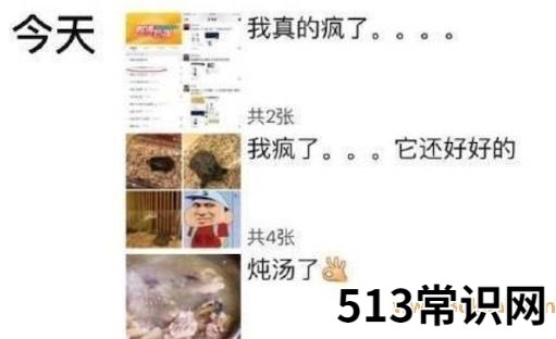 沒有感情的廣東人是什么意思什么梗 廣東人燉烏龜?shù)暮x