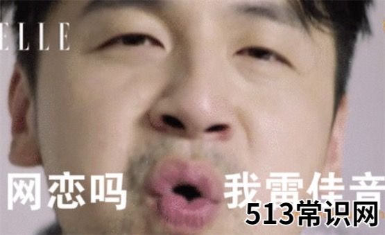 网恋吗我雷佳音是什么意思什么梗 网恋吗我雷佳音的含义