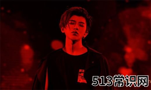 蔡徐坤nmsl是什么意思是什么梗 蔡徐坤nmsl的含义及出处