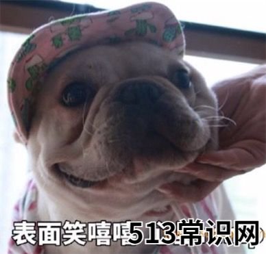 脸上笑嘻嘻心里mmp是什么意思什么梗,脸上笑嘻嘻心里mmp的含义