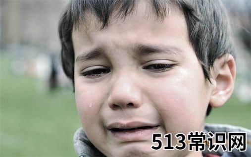 QAQ是什么意思什么梗,QAQ的含义