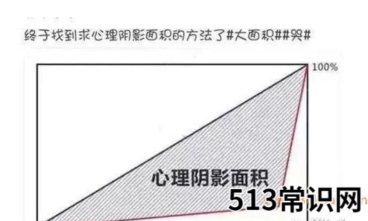 求心理阴影面积是什么意思什么梗,求心理阴影面积的含义及出处