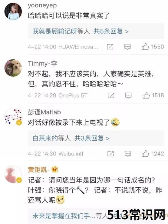你懂个锤子?四川话中的“锤子”是什么意思?说铲铲!给老子爬