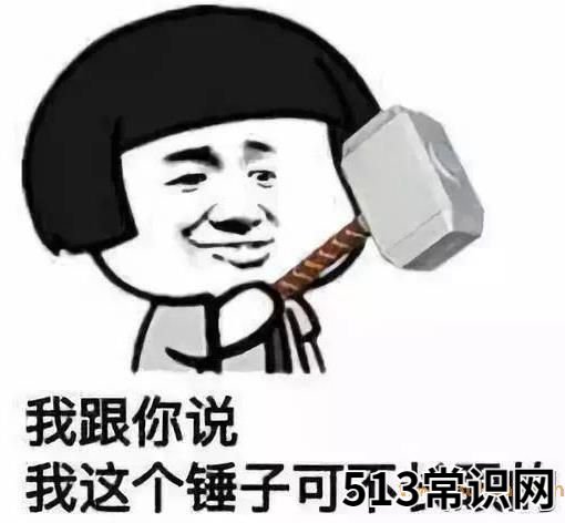 你懂个锤子?四川话中的“锤子”是什么意思?说铲铲!给老子爬