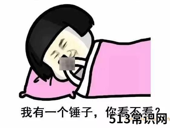 你懂个锤子?四川话中的“锤子”是什么意思?说铲铲!给老子爬