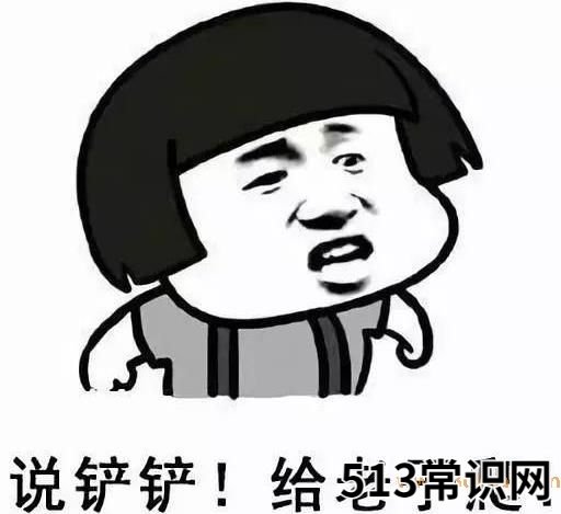 你懂个锤子?四川话中的“锤子”是什么意思?说铲铲!给老子爬