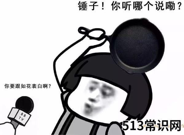 你懂个锤子?四川话中的“锤子”是什么意思?说铲铲!给老子爬