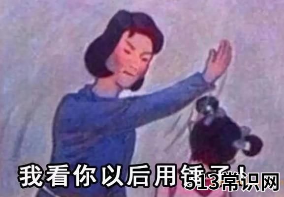 你懂个锤子?四川话中的“锤子”是什么意思?说铲铲!给老子爬