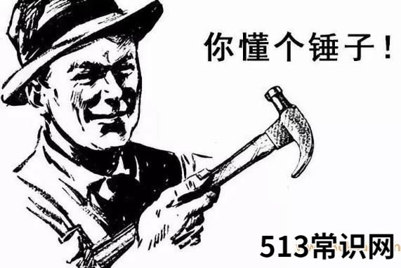 你懂个锤子?四川话中的“锤子”是什么意思?说铲铲!给老子爬