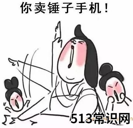 你懂个锤子?四川话中的“锤子”是什么意思?说铲铲!给老子爬