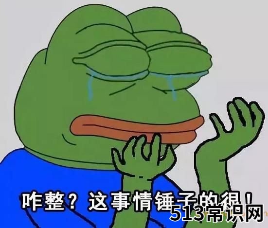 你懂个锤子?四川话中的“锤子”是什么意思?说铲铲!给老子爬