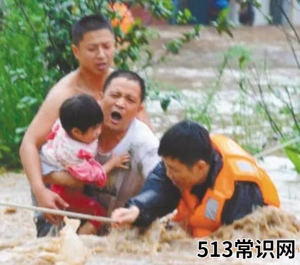 你懂个锤子?四川话中的“锤子”是什么意思?说铲铲!给老子爬