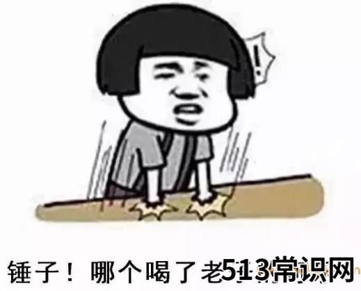 你懂个锤子?四川话中的“锤子”是什么意思?说铲铲!给老子爬