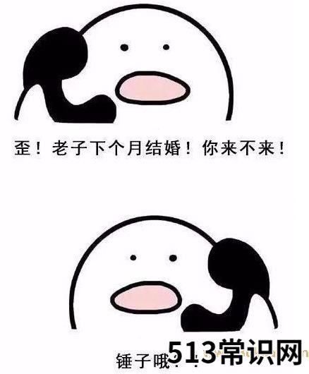 你懂个锤子?四川话中的“锤子”是什么意思?说铲铲!给老子爬