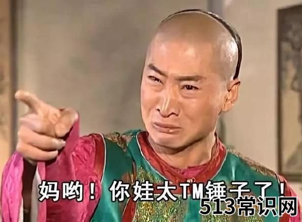 你懂个锤子?四川话中的“锤子”是什么意思?说铲铲!给老子爬