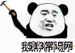 你懂个锤子?四川话中的“锤子”是什么意思?说铲铲!给老子爬