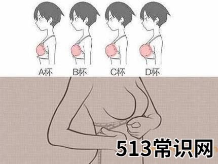 罩杯是什么意思?罩杯abcdefg怎么分大小图片?
