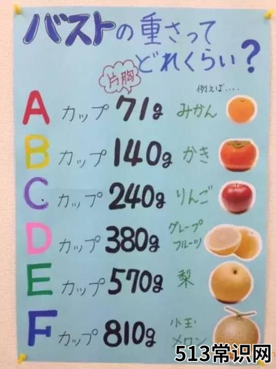 罩杯是什么意思?罩杯abcdefg怎么分大小图片?