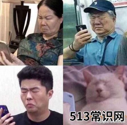 叠杀人书的梗是什么意思,表情包在反复传递过程中水印越叠越厚