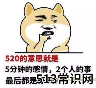 520是什么意思?5201314数字谐音意思是我爱你一生一世