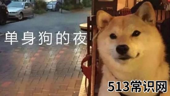 520是什么意思?5201314数字谐音意思是我爱你一生一世