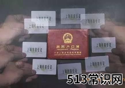 新上海人是什么意思?新上海人算是上海人吗?