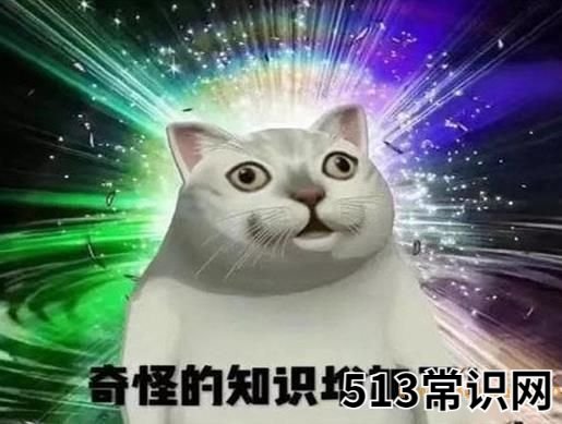 2021十大热词,正道的光在抖音上火爆一时