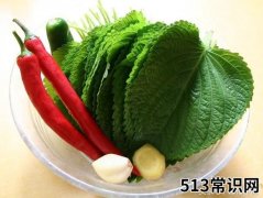 苏子叶的功效与作用及食用方法，你吃过了吗