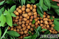 桂圆的功效与作用？这样吃会更好
