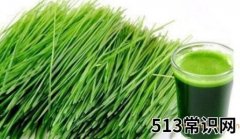 大麦青汁的功效与作用，能长期喝吗
