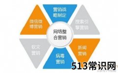 网络宣传推广方式有哪些,最常见的几种推广方案!