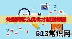 怎么优化长尾关键词，快速收录的方法！