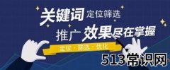 刷百度关键词排名，快速上首页方法，秒收录！