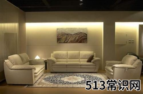 消灭地毯清洁死角 六个妙招还原本来面貌