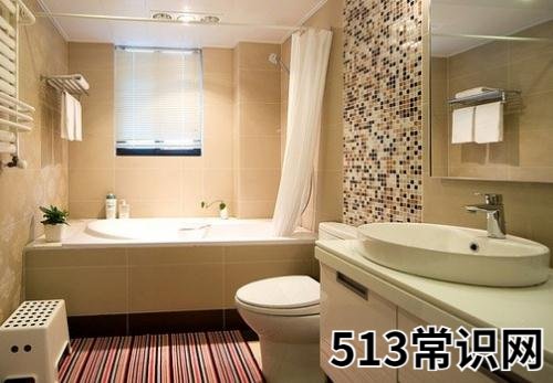 10个妙招让卫生间清清爽爽
