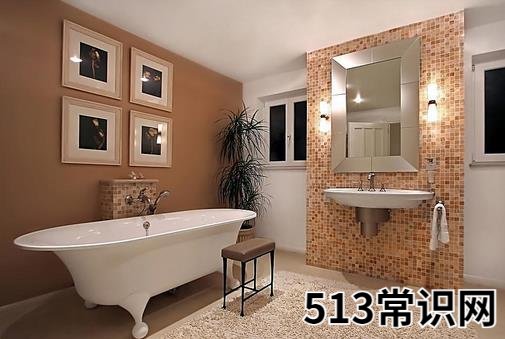 學(xué)會(huì)這些方法 疏通下水道不求人