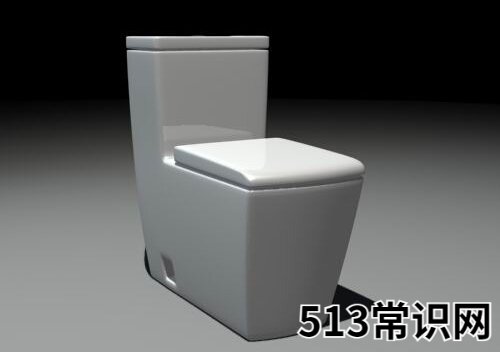 抽水马桶堵了怎么通?坐式马桶堵了怎么办