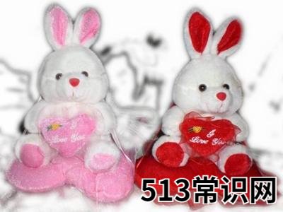 如何清洁毛绒玩具